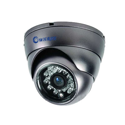 CWH-313A-30M IR Vandalproof Dome Camera