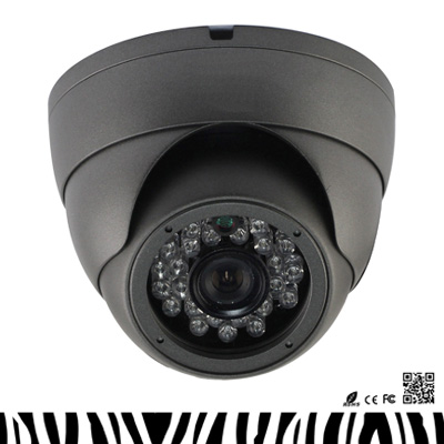 ZEBRA DOME IR-ZDIR20P70